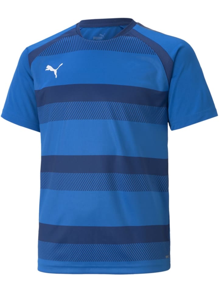 

Спортивная футболка TeamVISION Jersey Jr синего цвета Puma