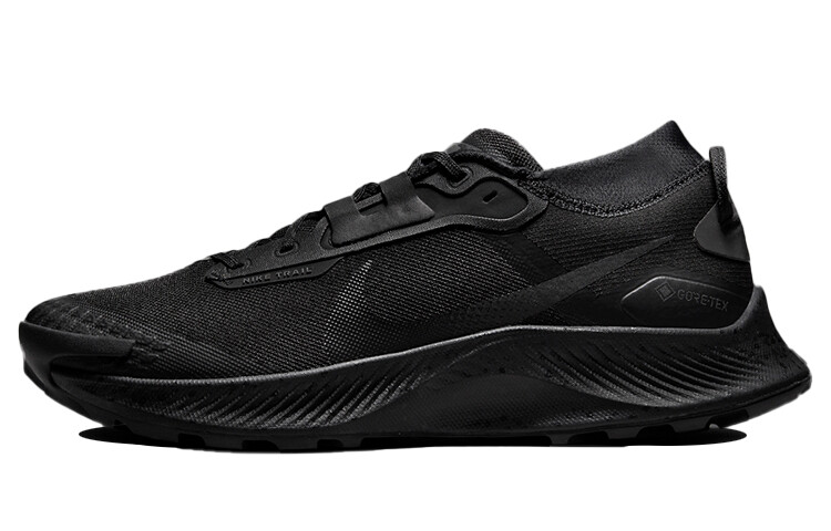 

Nike Pegasus Trail 3 Gore-Tex Черный Темно-Дымчатый Серый