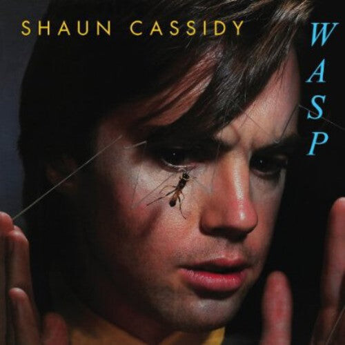 

CD диск Cassidy, Shaun: Wasp