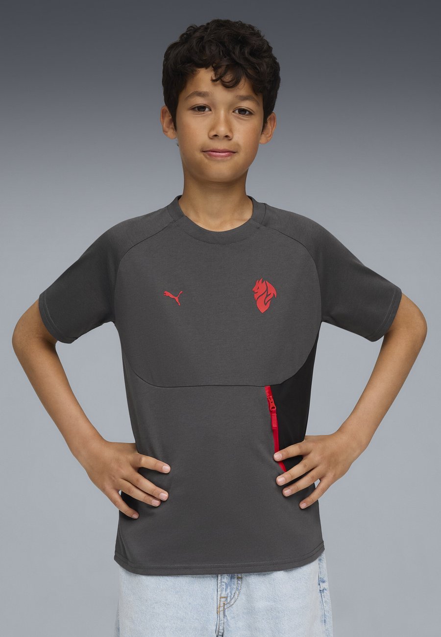 Футболка Puma Print T-shirt, Shadow Gray For All Time Red/Grey — фото 2