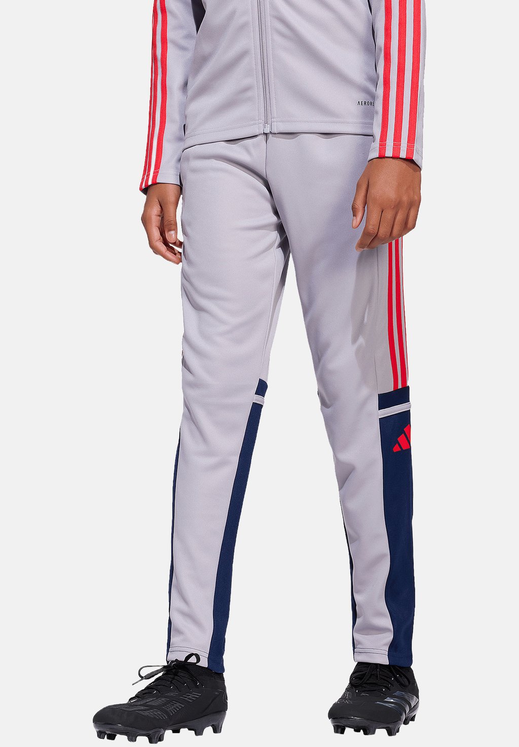 

Спортивные штаны FUSSBALL TEAMSPORT SQUADRA TRAININGS Adidas Performance, серый