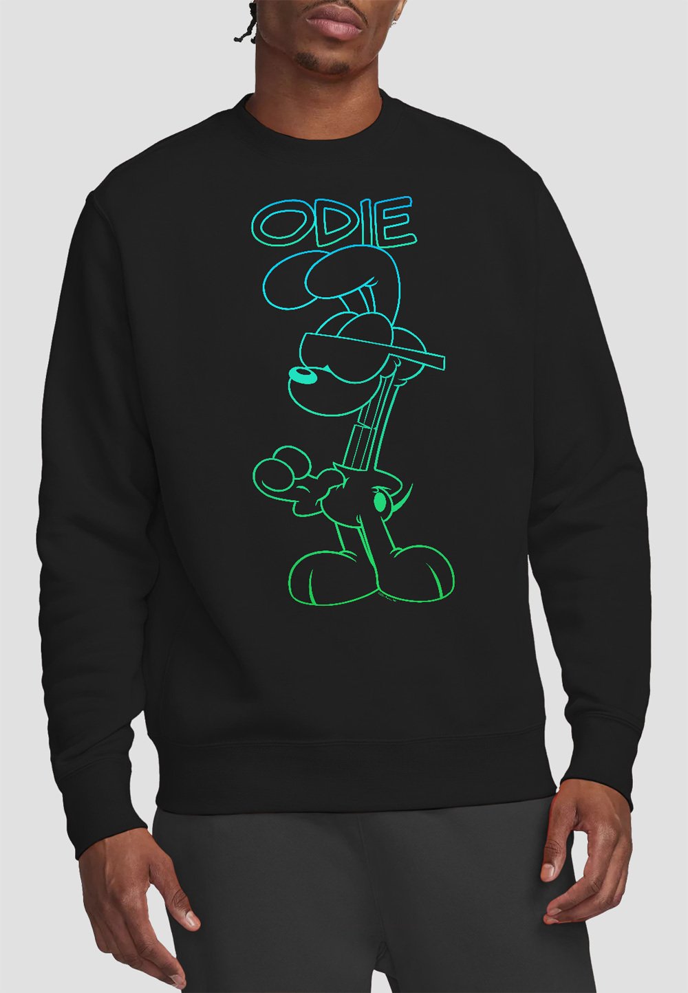 

Толстовка GARFIELD HOTSHOT ODIE Cotton Soul, черный