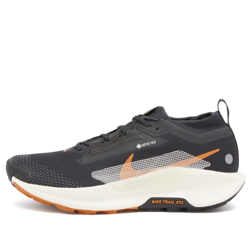 

Кроссовки Nike Pegasus Trail 5 Gore-Tex Nike Running, мультиколор