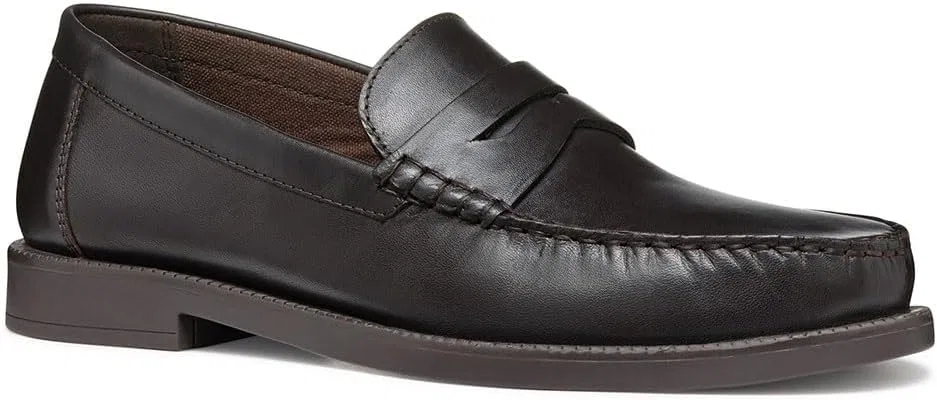 Мужские лоферы Geox U Recanati D, Coffee