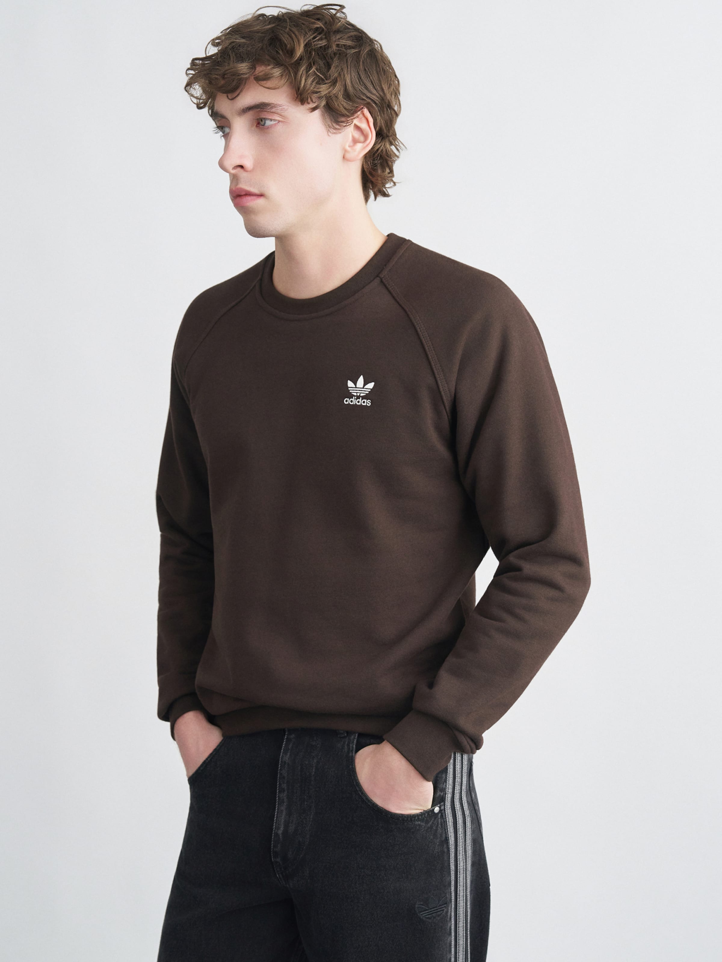 Adidas Originals Свитшот 'Trefoil Essentials' в цвете Chocolate — фото 3