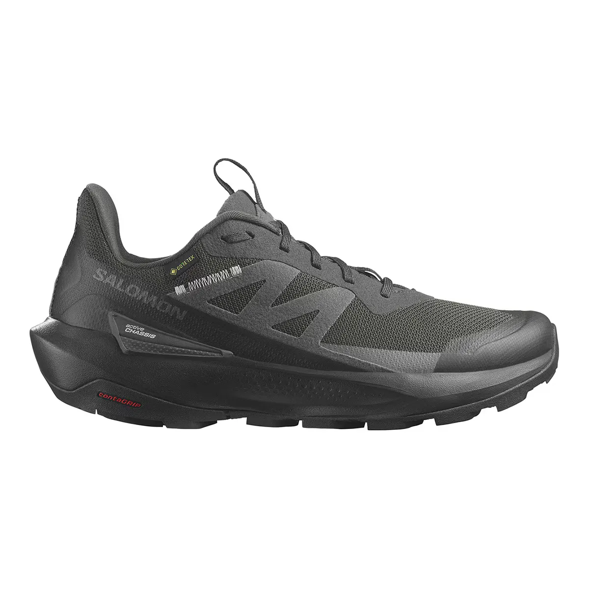 

Мужские походные ботинки Salomon Elixir Activ Gore-Tex, чёрный