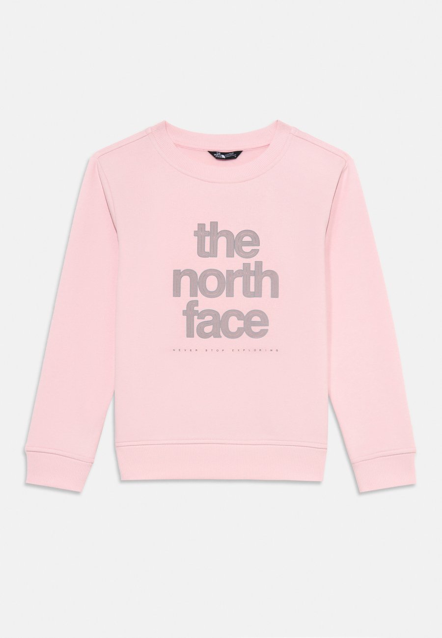 

Толстовка The North Face REFLECTIVE LOGO RELAXED UNISEX, Pale Blossom/Light Pink