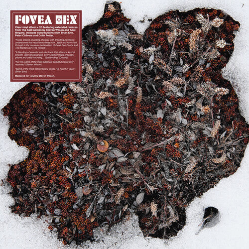 

Виниловая пластинка Fovea Hex: The Salt Garden (Clear Vinyl)