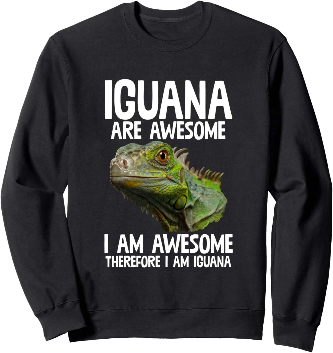 

Игуана - это круто! Я - толстовка с оригинальным рисунком ящерицы-игуаны Iguana Art Vibes, черный