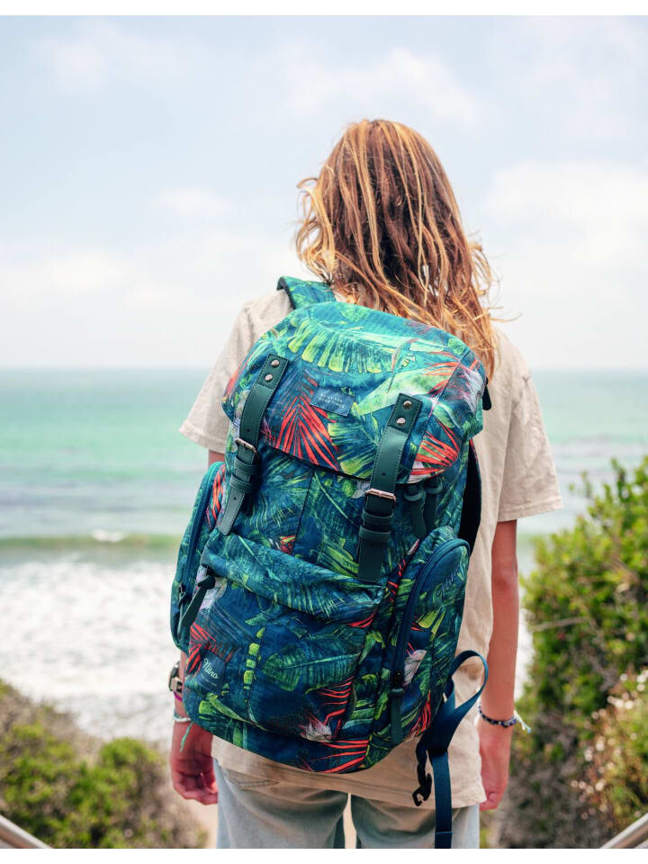 

Рюкзак Nitro Rucksack DAYPACKER, цвет TROPICAL