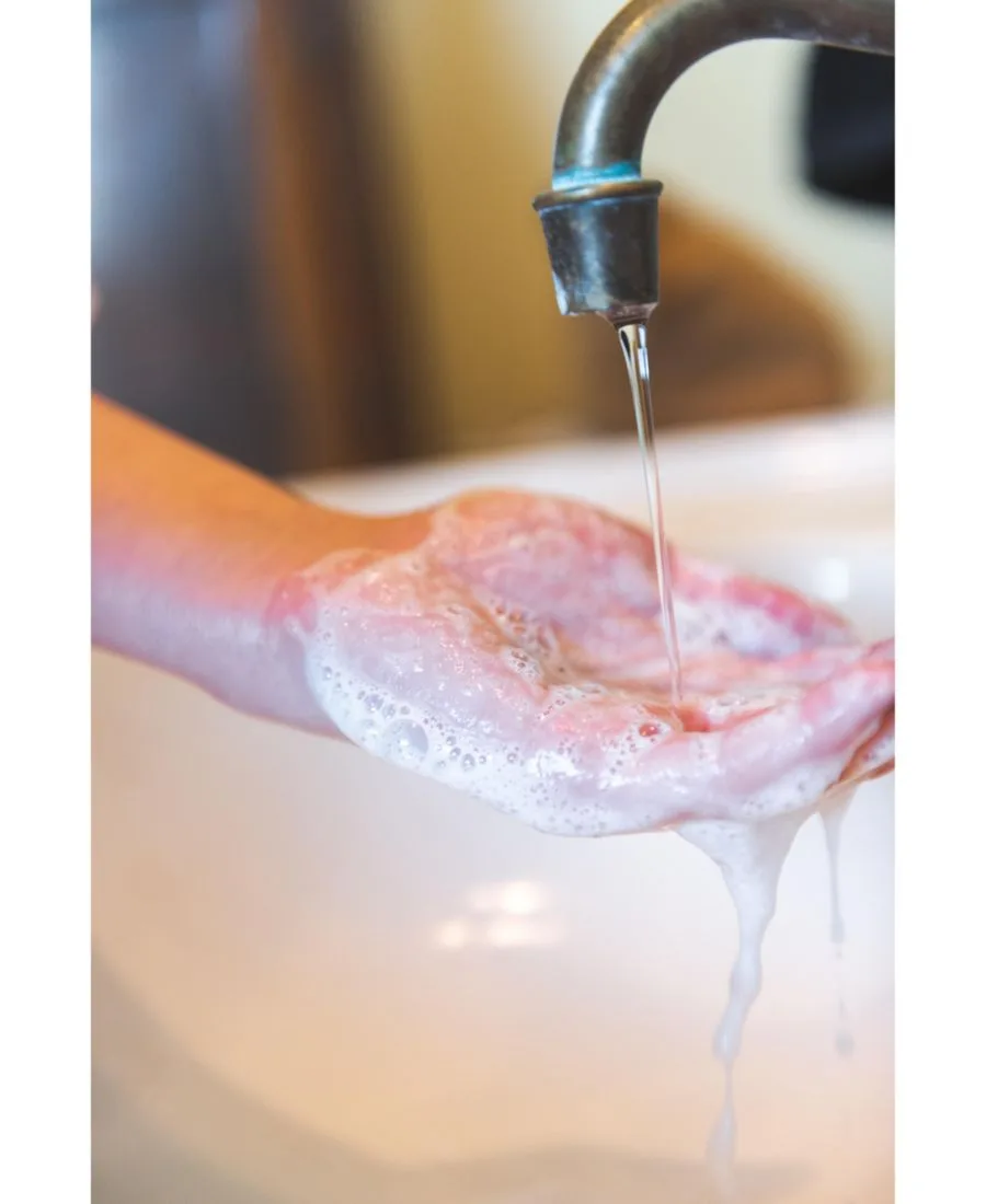 Aremes Fermentis Очищающее средство Bioradiance Botanical Cleanser с противовоспалительным эффектом, экстрактом одуванчика и маслом ши — фото 3