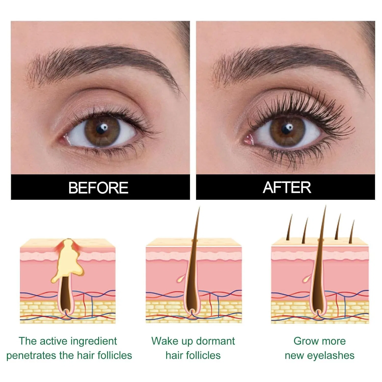 Сыворотка для роста и укрепления ресниц Lash Elixir (30 мл) Ashopfun, 1 Piece. — фото 4