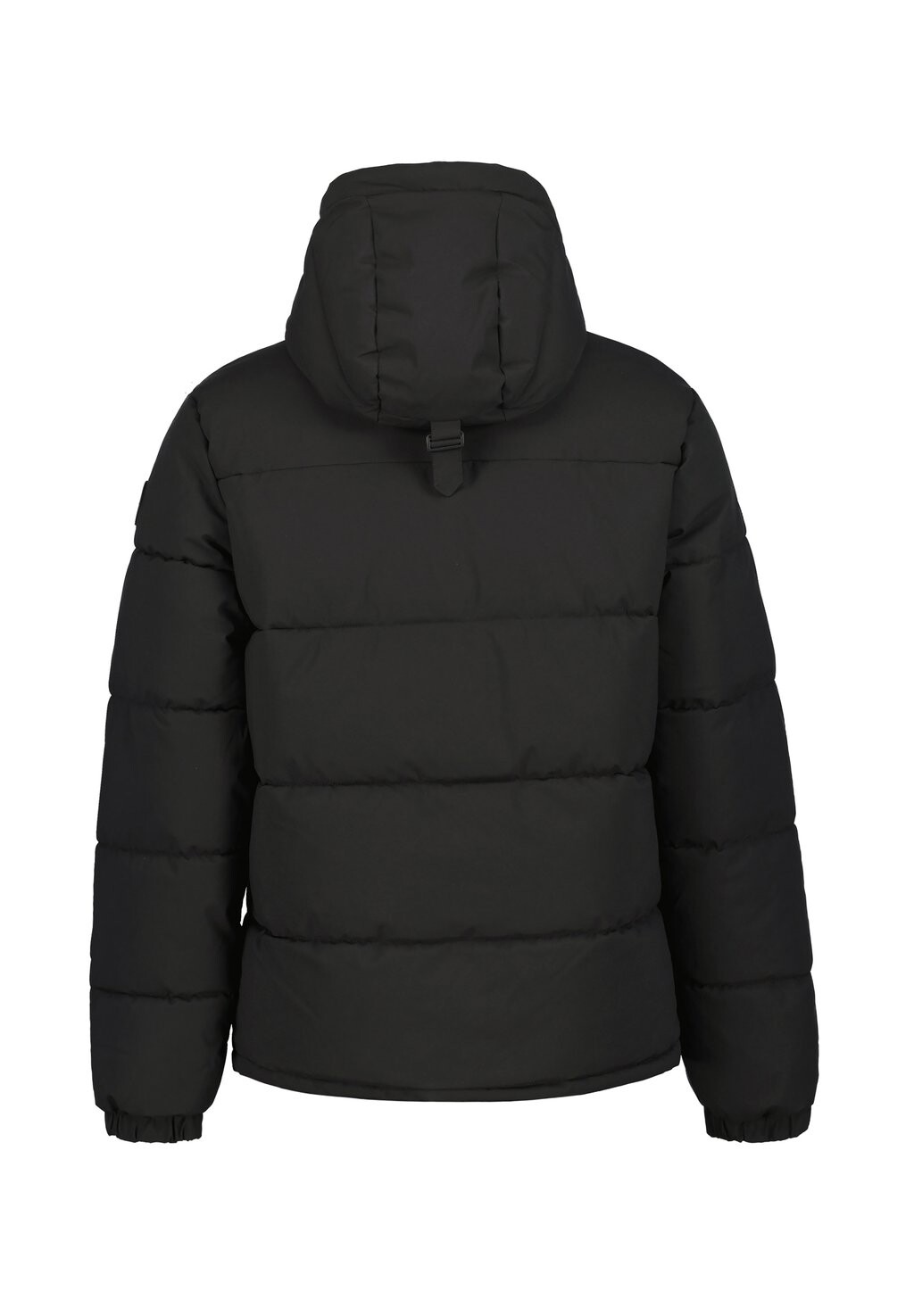 

Зимняя куртка PESARO Icepeak, черный