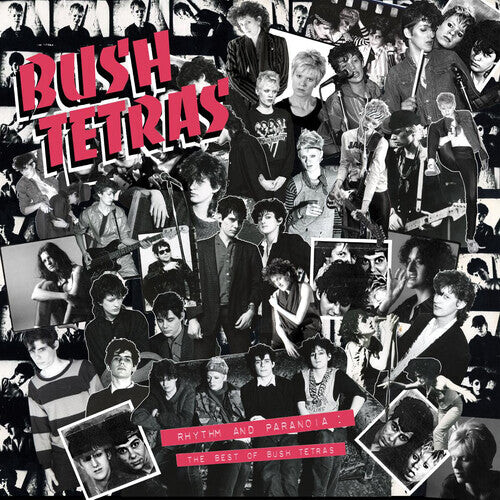 

CD диск Bush Tetras: Rhythm & Paranoia: The Best of Bush Tetras