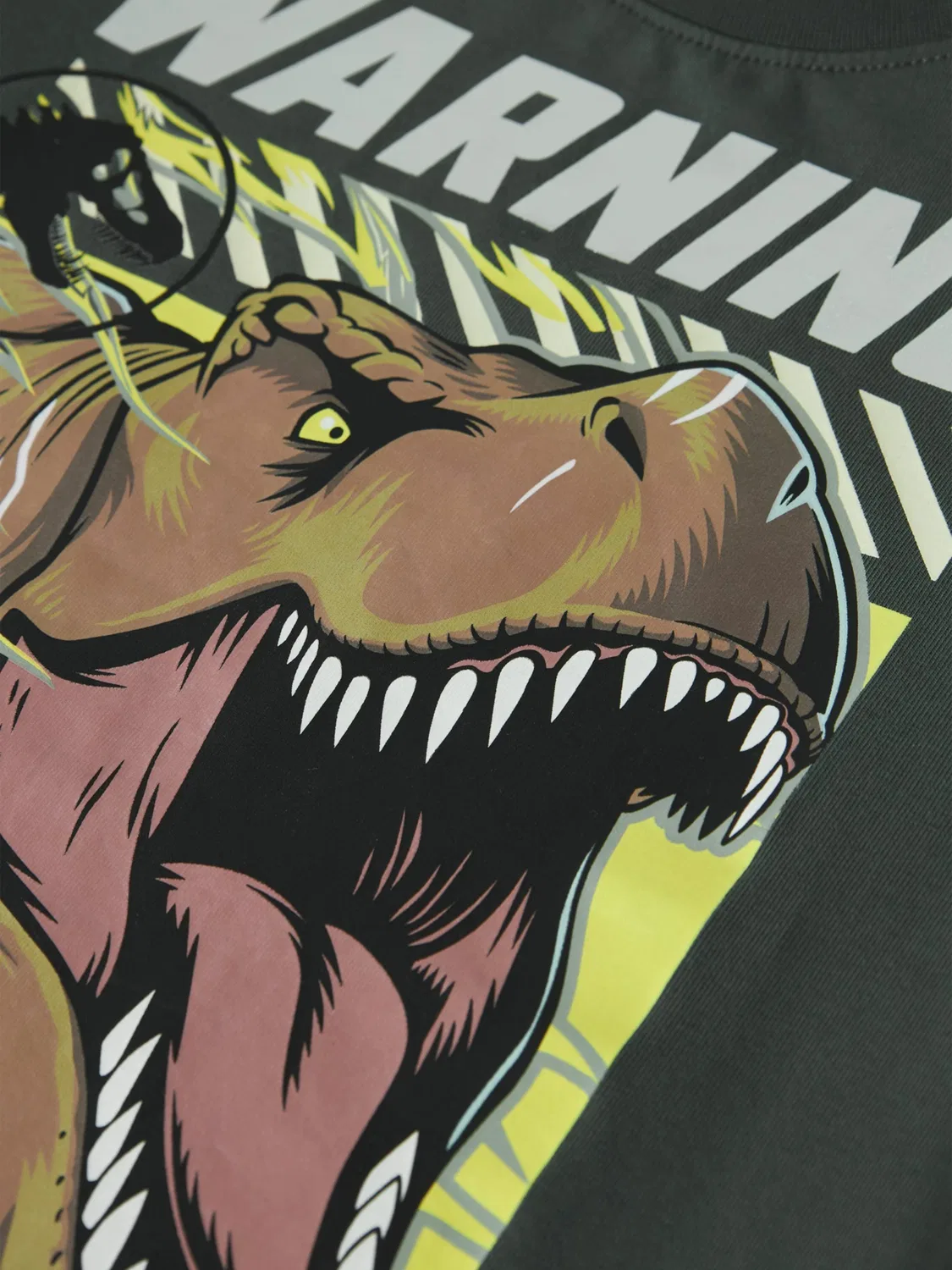 Футболка Name It NMMJim Jurassic графитового цвета — фото 3