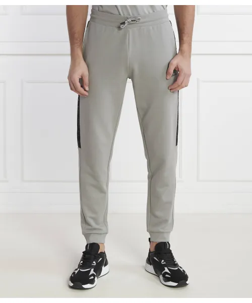 

Спортивные штаны Regular fit Ea7, серый