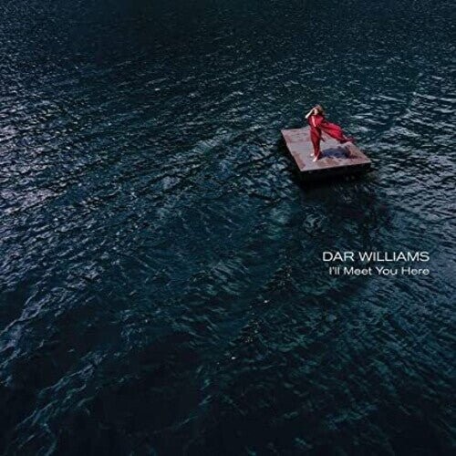 

Виниловая пластинка Williams, Dar - I'Ll Meet You Here