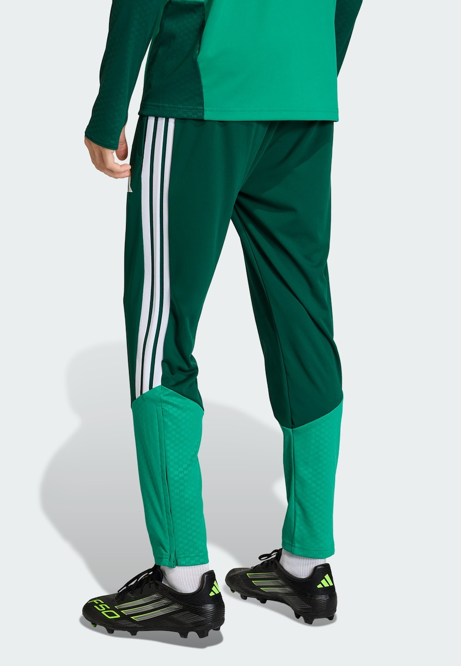 Облегающие спортивные брюки ADIDAS PERFORMANCE Algerien 26, Green/Fir — фото 3
