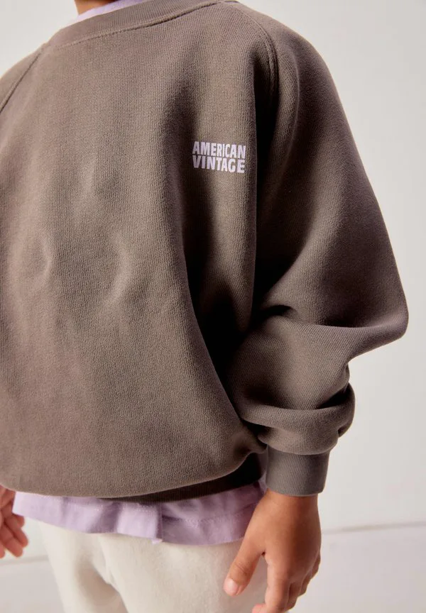 Толстовка izubird American Vintage, Cendre Vintage — фото 4