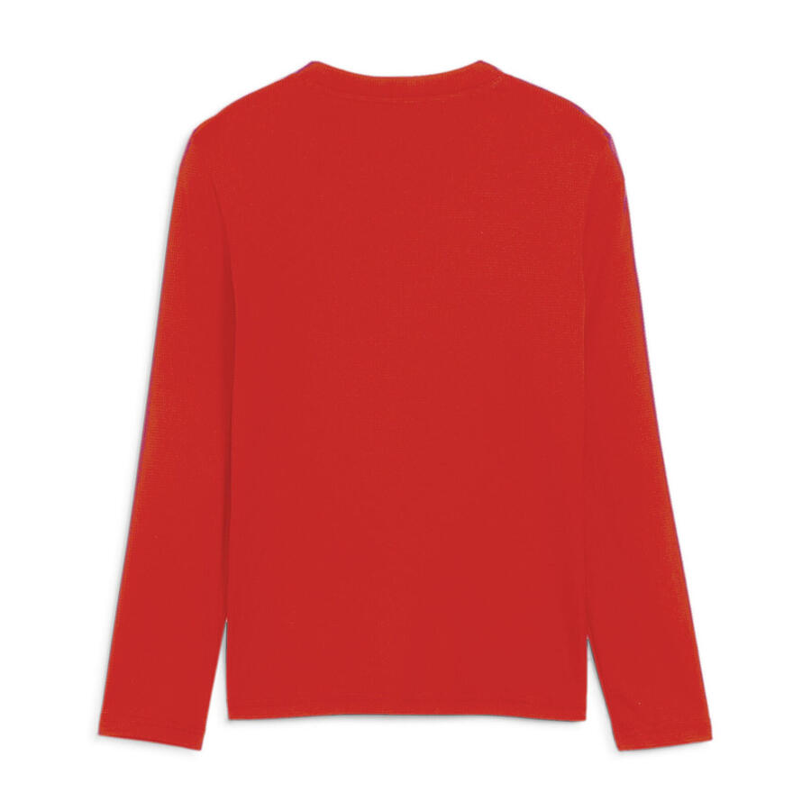Детская футболка Puma с длинными рукавами teamGOAL Baselayer Tee LS Jr 659041 — фото 2