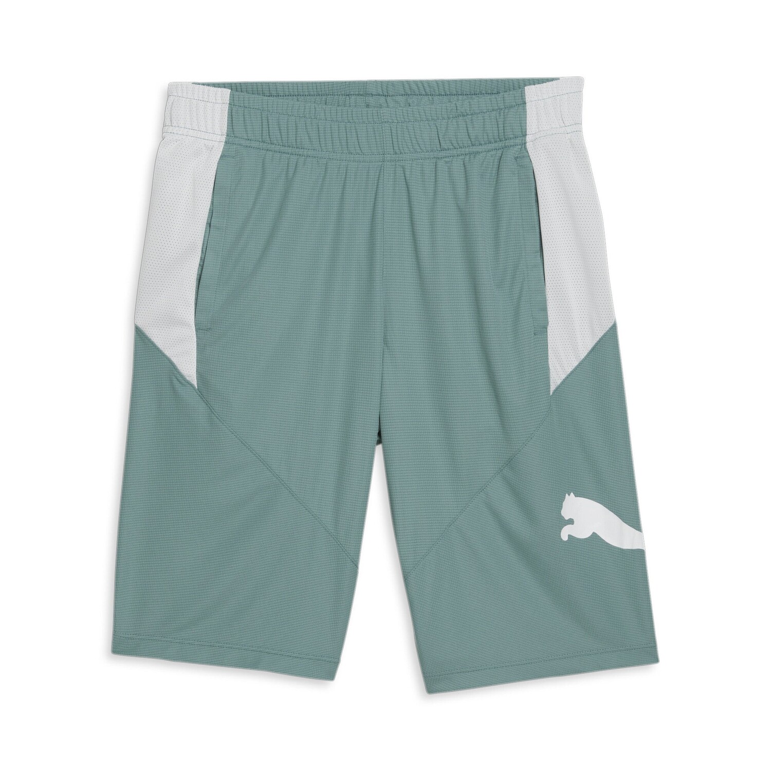 

Мужские шорты для тренировки кошек PUMA, цвет Adriatic/White