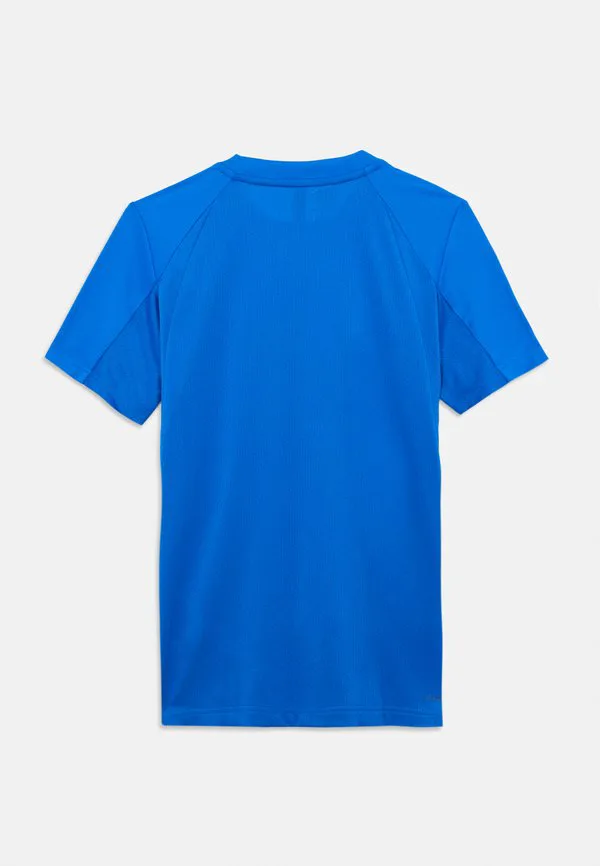 Клубная футболка, спортивная футболка унисекс Adidas Performance, Glory Blue — фото 2