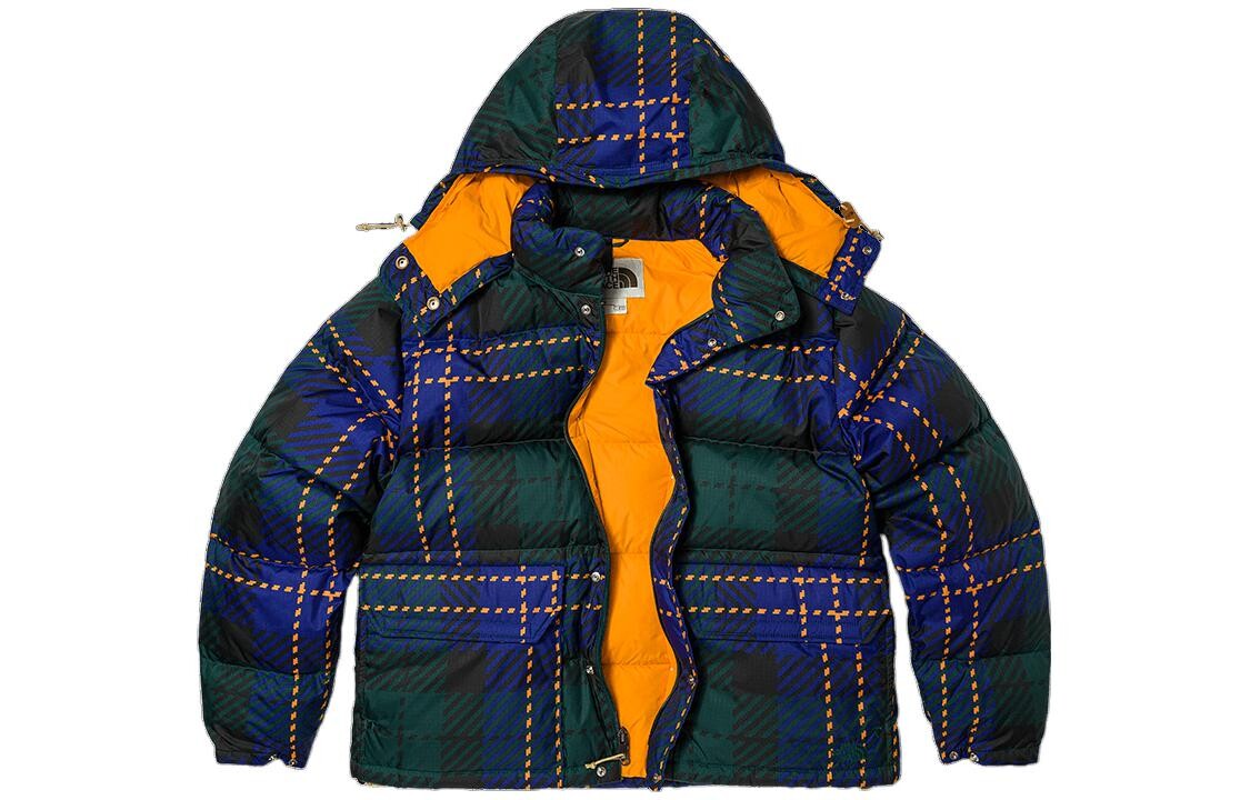 

THE NORTH FACE Мужской пуховик, цвет Blue