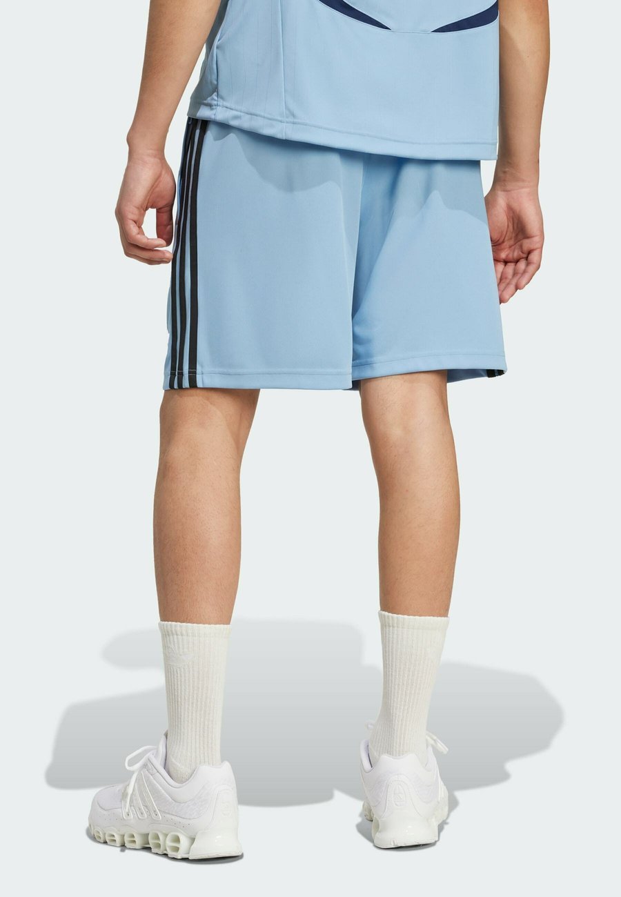 Шорты Adidas Originals TEAMGEIST SHO, Ash Blue Black/Moon Washed — фото 2