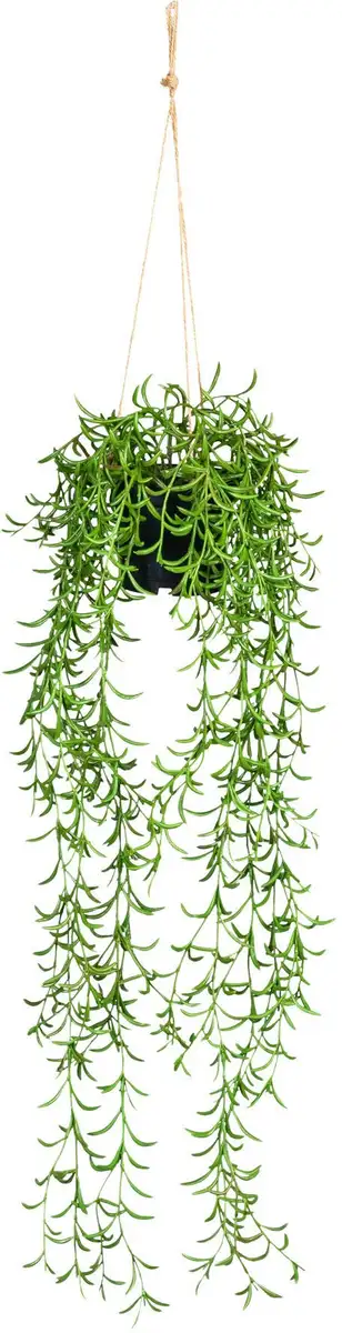 

Креатив зеленая искусственная лоза "Nerifolia Hanger", в пластиковом подвесном горшке Creativ green 12х70 см, зеленый