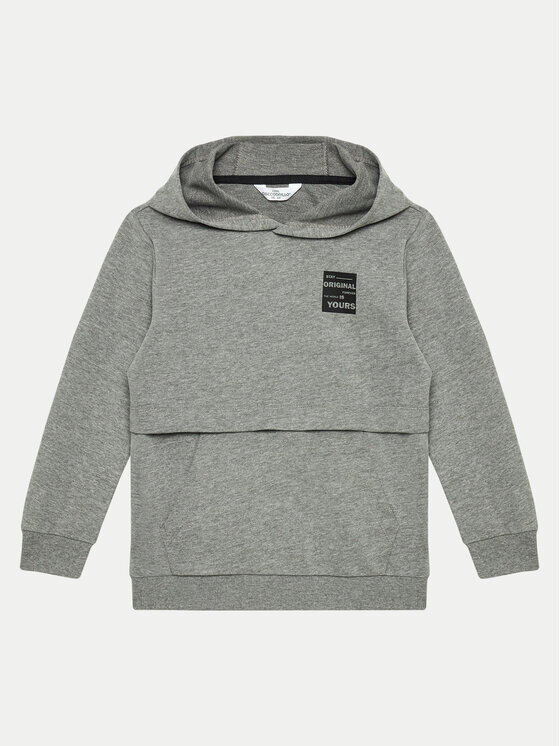 

Толстовка regular fit Coccodrillo, серый