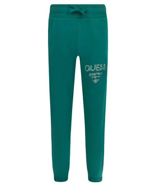

Спортивные штаны Regular fit Guess, зеленый