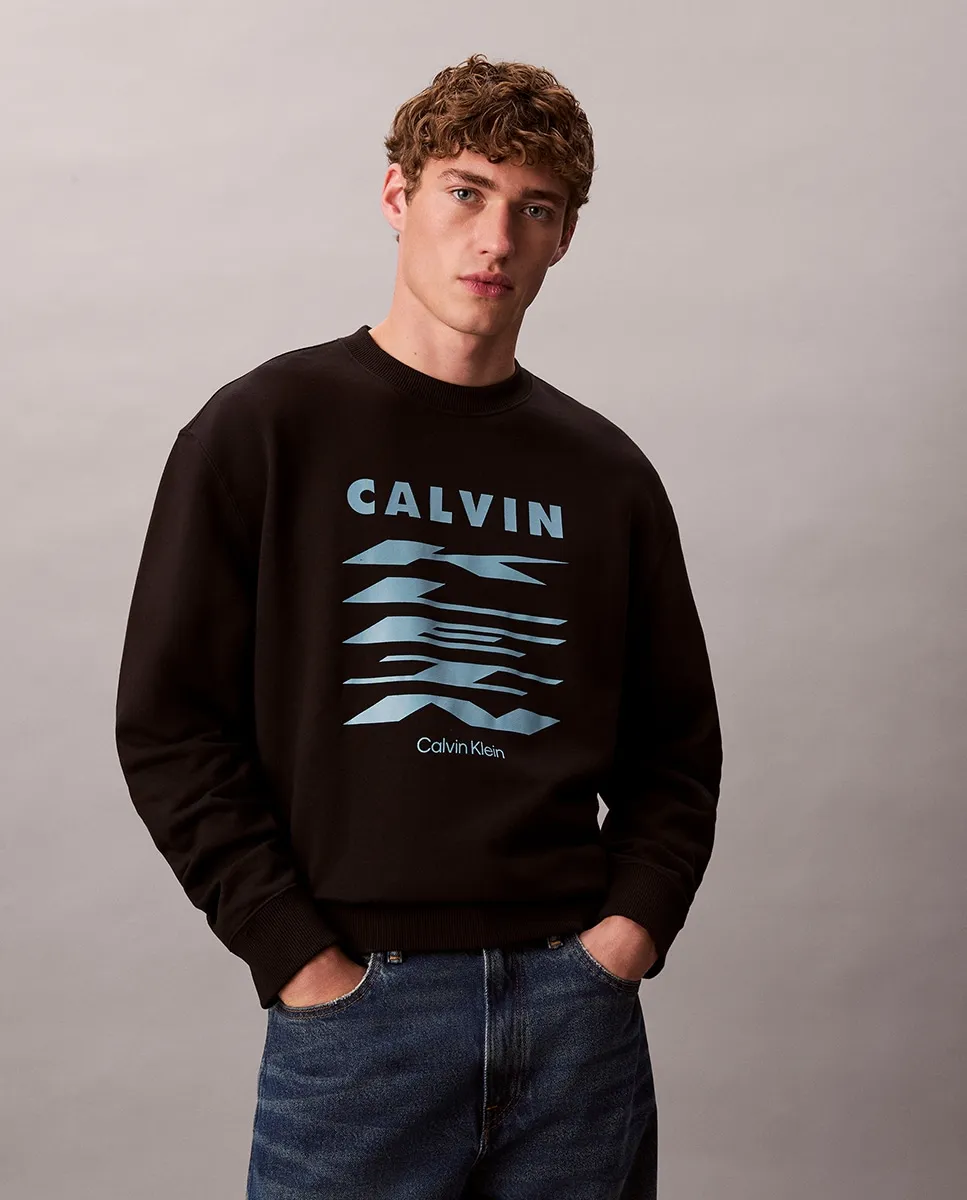 

Мужская толстовка с графическим рисунком Calvin Klein Jeans, черный