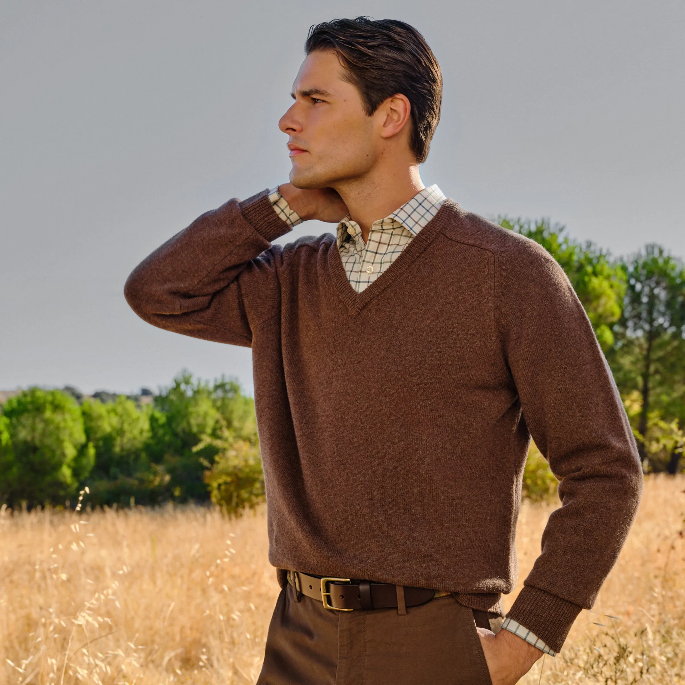 

Мужской джемпер с V-образным вырезом из шерсти ягненка Verhunt, коричневый