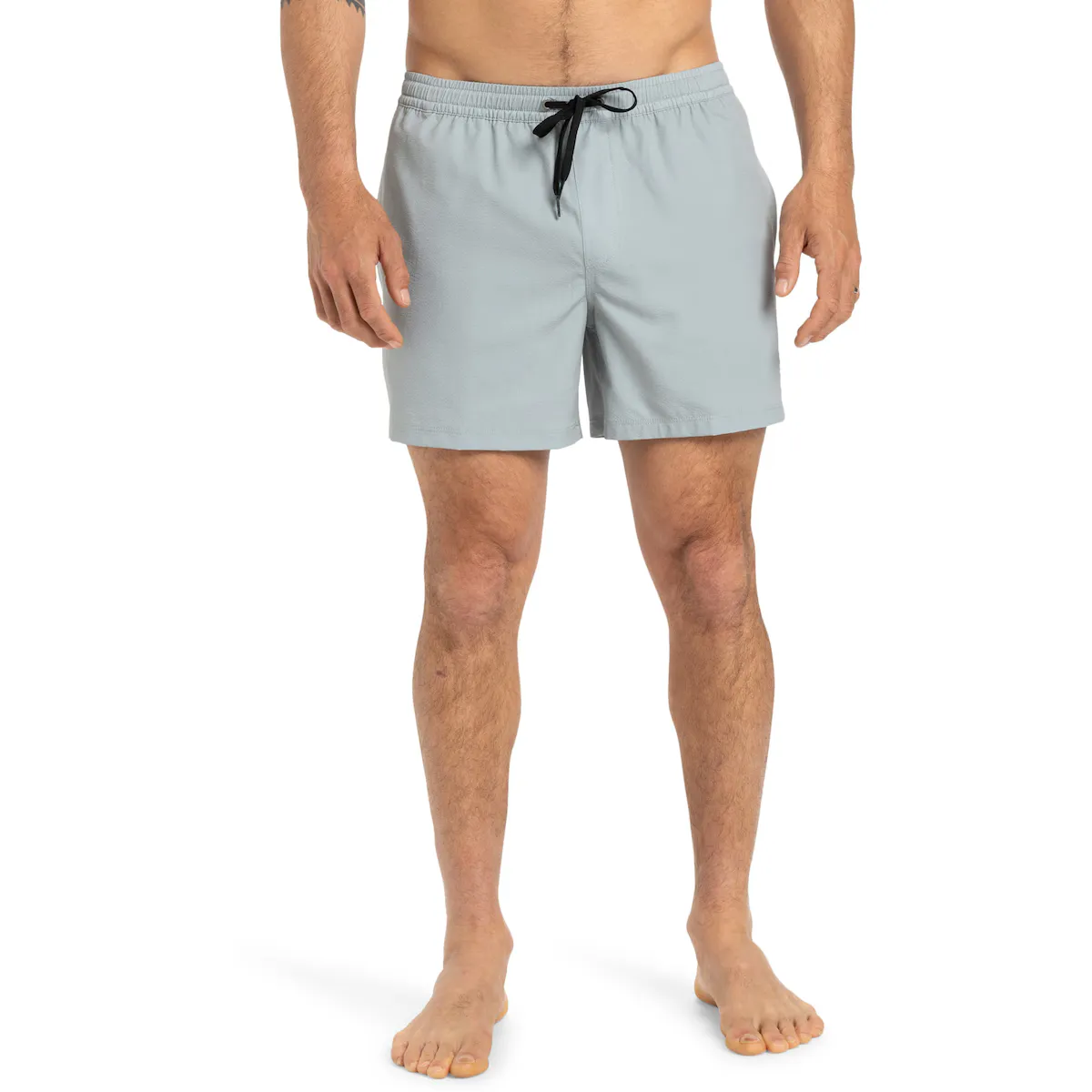 

Мужские шорты Quiksilver Everyday Flex 15" для плавания, серый