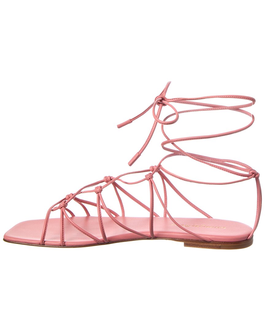 Gianvito Rossi Minas Leather Sandal, розовый — фото 2