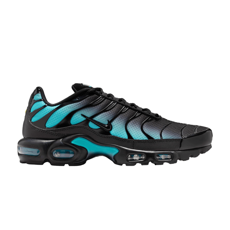 

Кроссовки Air Max Plus 'Black Dusty Cactus', черный