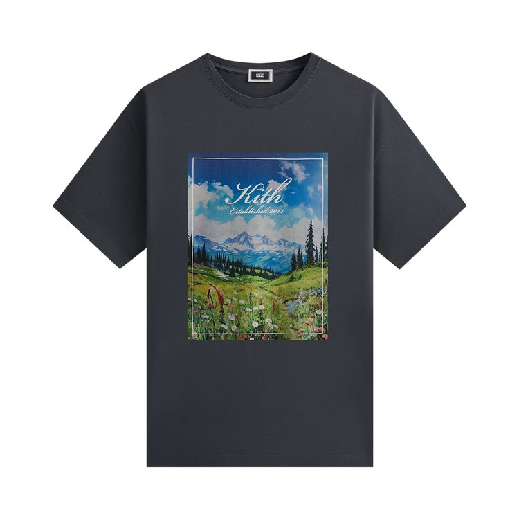 

Футболка Kith Landscape Vintage Tee, цвет Torpedo