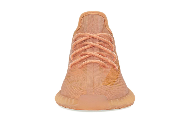 Adidas Originals Adidas Yeezy Boost 350 V2 'Mono Clay' — фото 3