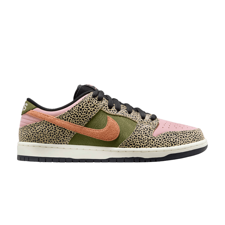 

Кеды Nike Arts-Rec x Dunk Low SB 'For Recreational Use' Special Box, разноцветный