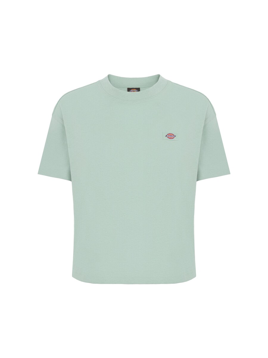 

Рубашка DICKIES OAKPORT, светло-зеленый