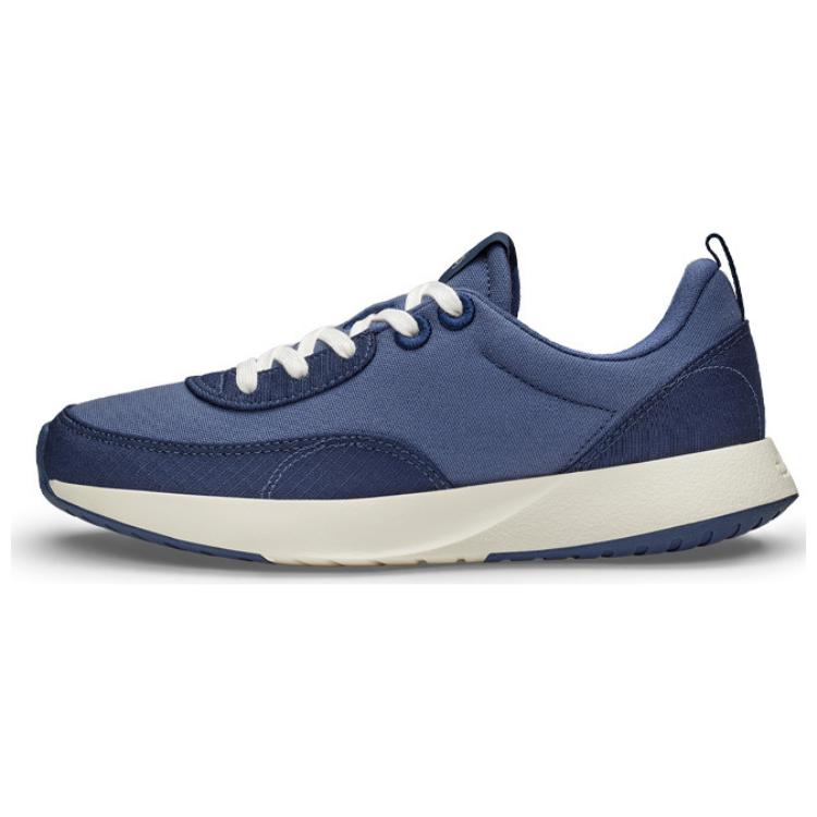 

Allbirds Кроссовки Courier Cushioning Low Top для бега, мужские, комбинированные, синего и разноцветного цветов