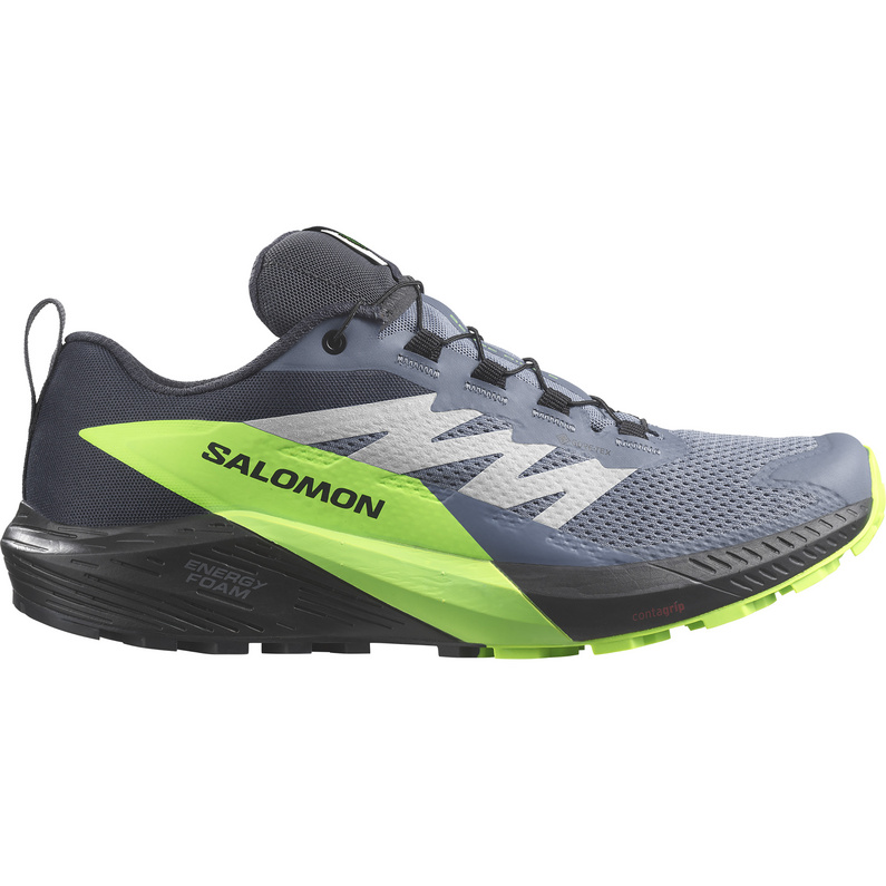 

Мужские туфли Sense Ride 5 GTX Salomon, серый