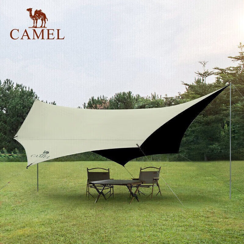 

Палатка Camel для кемпинга 1142253029 цвет мокко