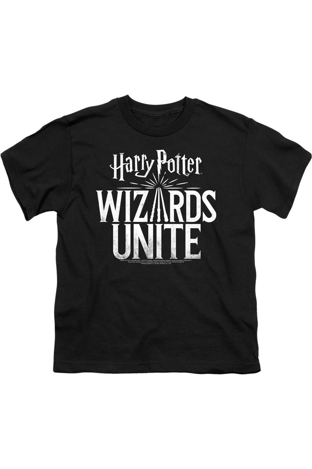

Футболка с коротким рукавом для детей с логотипом Harry Potter Wizards Unite Gildan, черный