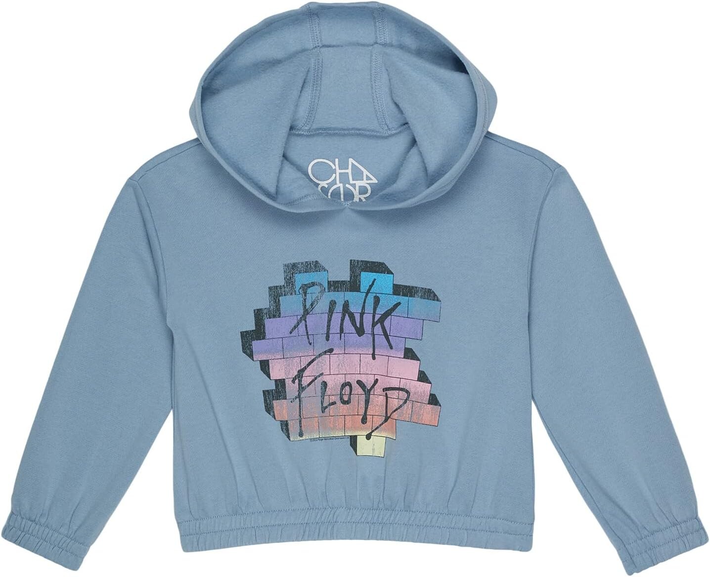 

Худи Chaser Pink Floyd The Wall Vintage Fleece Hoodie, цвет Fin