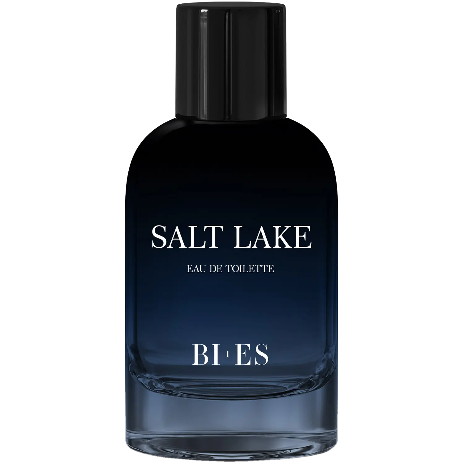 

Мужская туалетная вода Bi-Es Salt Lake Men, 100 мл