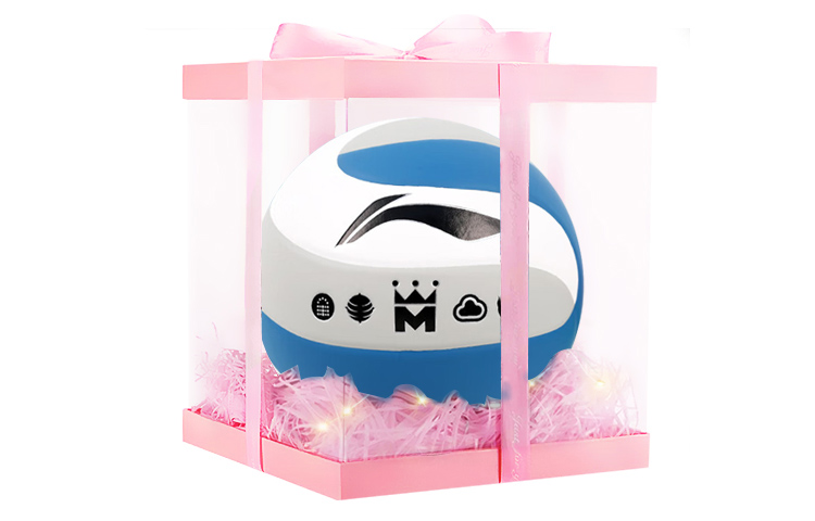 

LINING Размер 5 волейбольный мяч Unisex белый серый синий