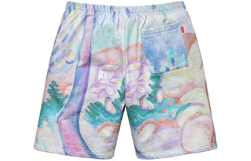 Шорты ss18 landscape sweatshort multicolor Supreme, мультиколор — фото 2