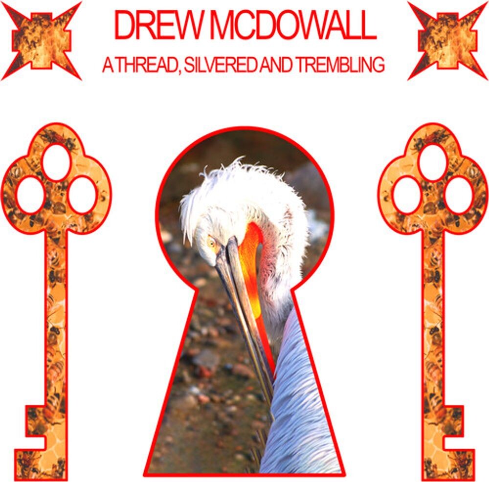 

Виниловая пластинка LP A Thread, Silvered & Trembling [Red Vinyl] - Drew McDowall