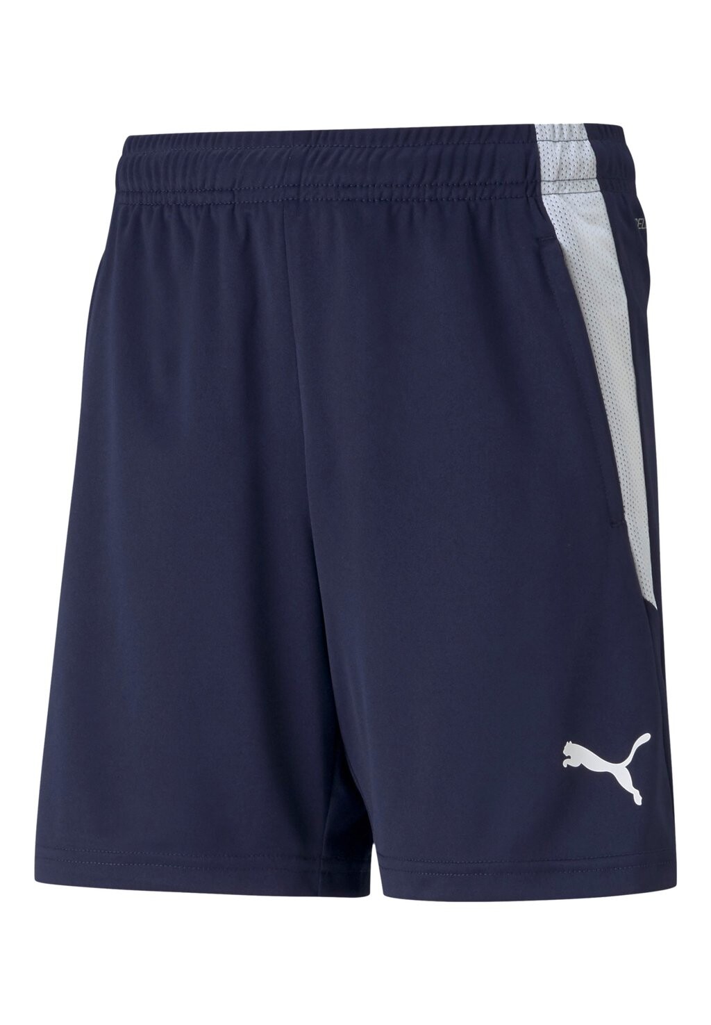 

Спортивные шорты FUSSBALL TEAMSPORT TEXTIL TEAMLIGA KIDS Puma, синий